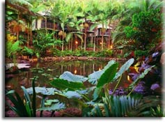   : Daintree Eco Lodge & Spa